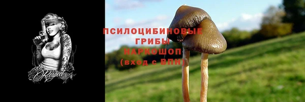 хмурый Алагир
