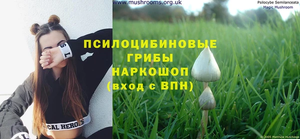 меф Михайловск