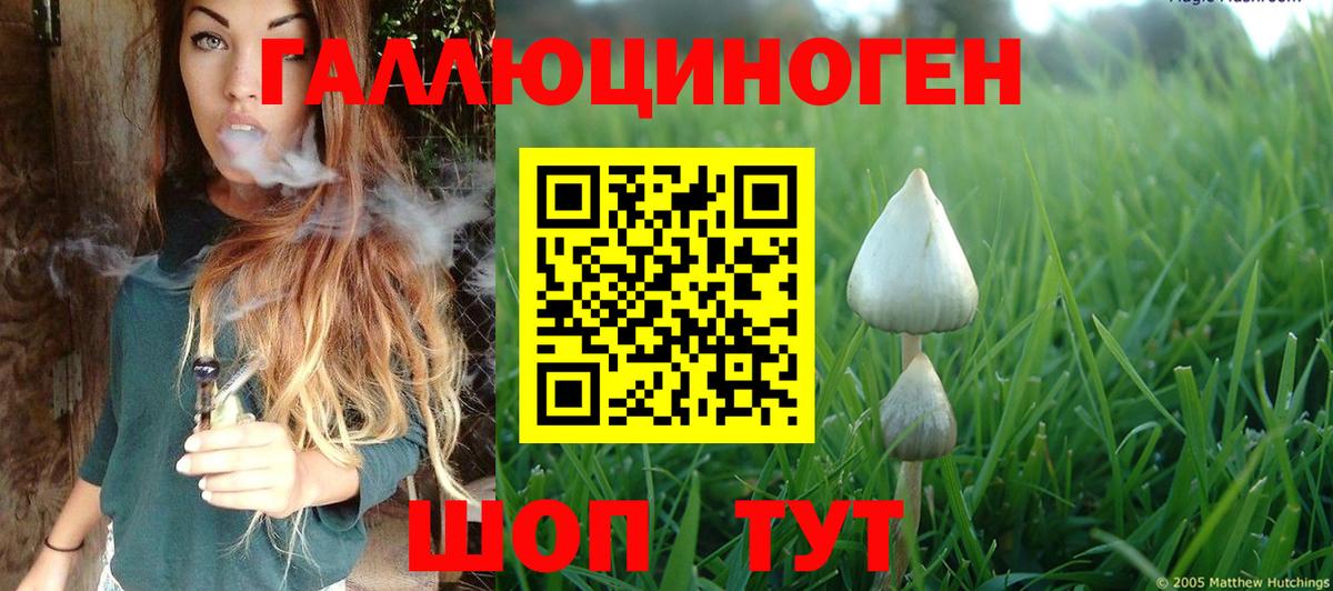 Таганрог  ГАШИШ  Вход с VPN  МЕФ   Бошки Шишки  Метамфетамин 