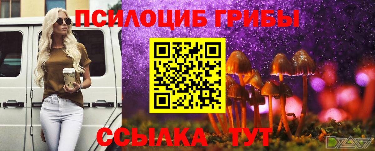 Галлюциногенные грибы Psilocybine cubensis Таганрог
